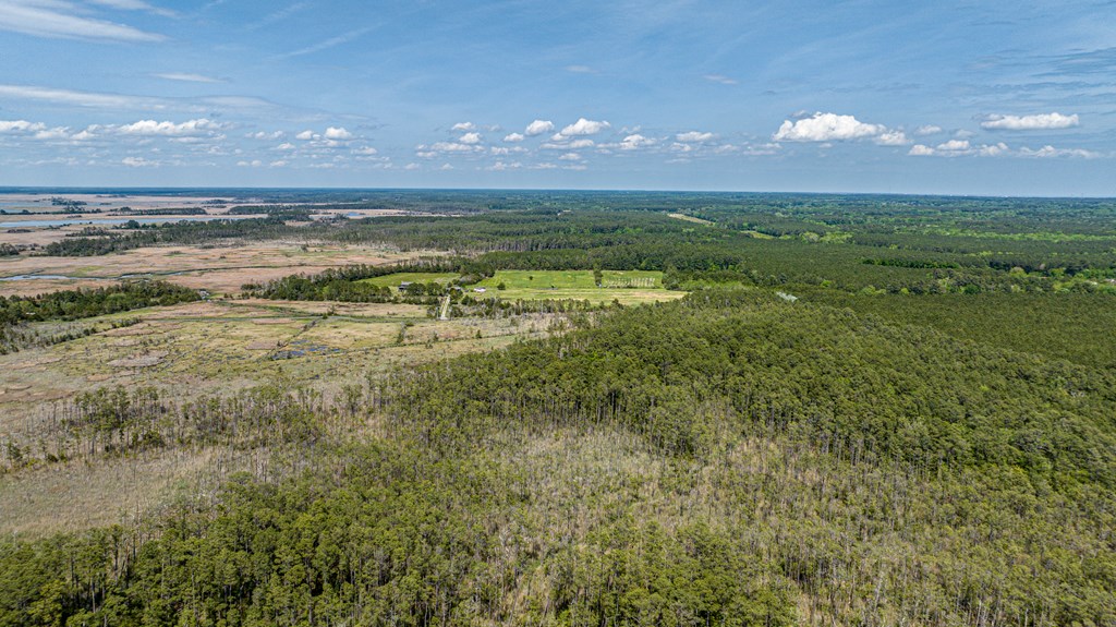 Lot 32* Youngs Creek Rd #32*, Bloxom, Virginia image 10