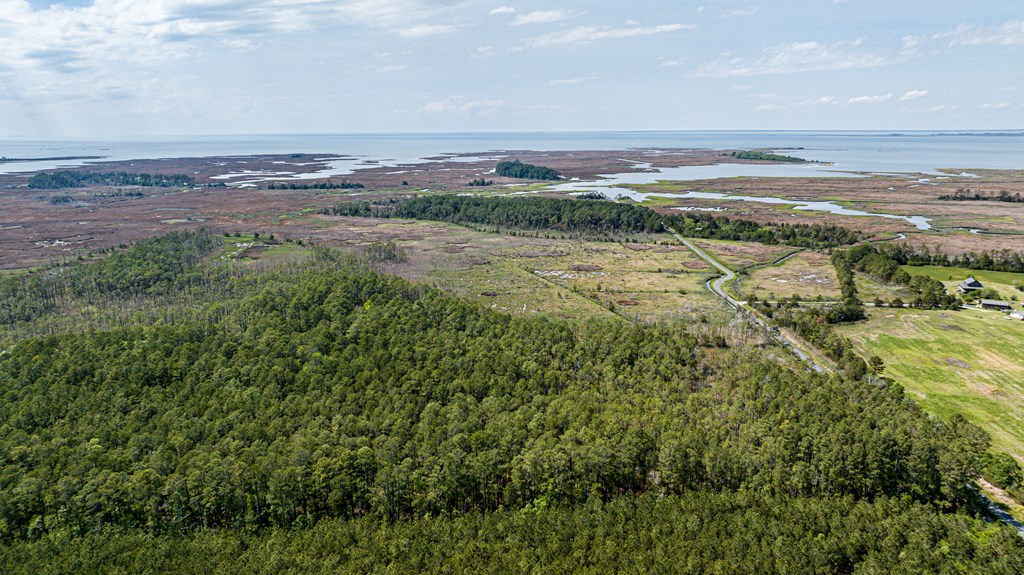Lot 32* Youngs Creek Rd #32*, Bloxom, Virginia image 13