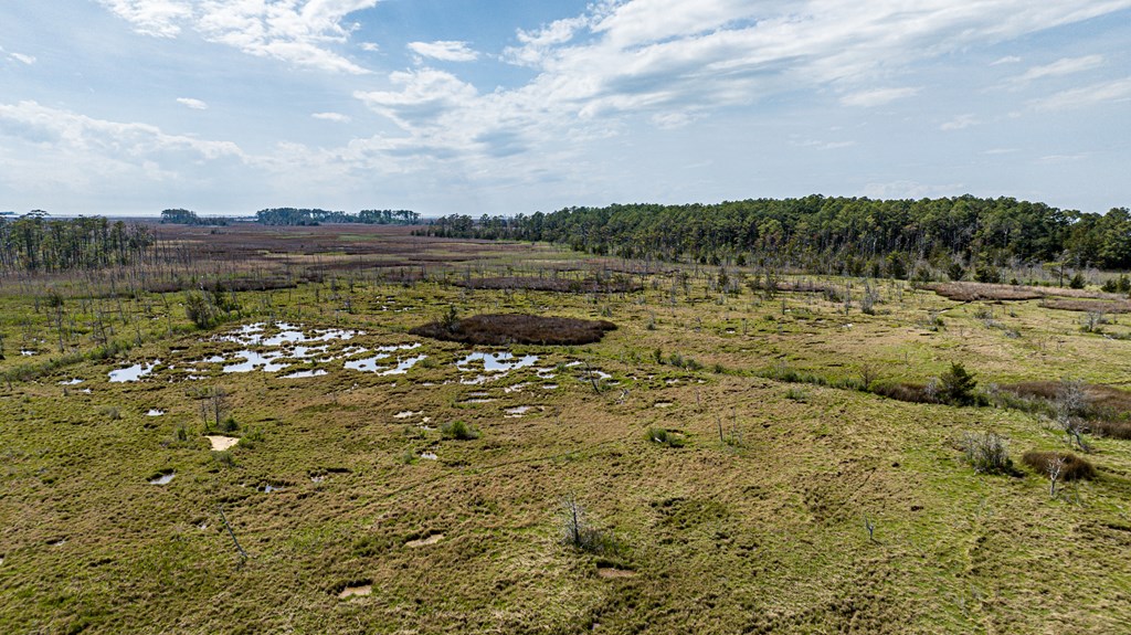 Lot 32* Youngs Creek Rd #32*, Bloxom, Virginia image 17