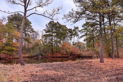 Vacant Land For Sale - LOT 685 Bradley Ln #0685<br/> Chincoteague, VA 23336