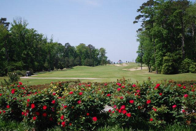 Lot 108 Lake Point Ct #108, Cape Charles, Virginia image 10