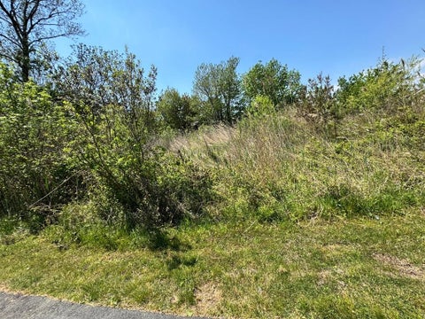 Vacant Land For Sale - 267/268 Wild Pony Court #267/8<br/> Chincoteague, VA 23336