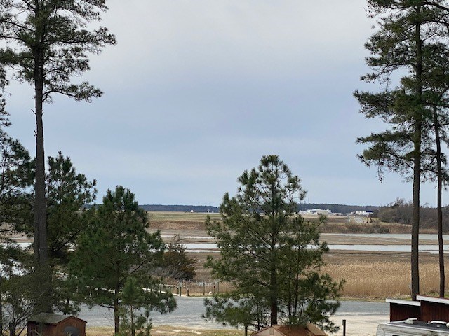6099 Periwinkle Dr, Horntown, Virginia image 29