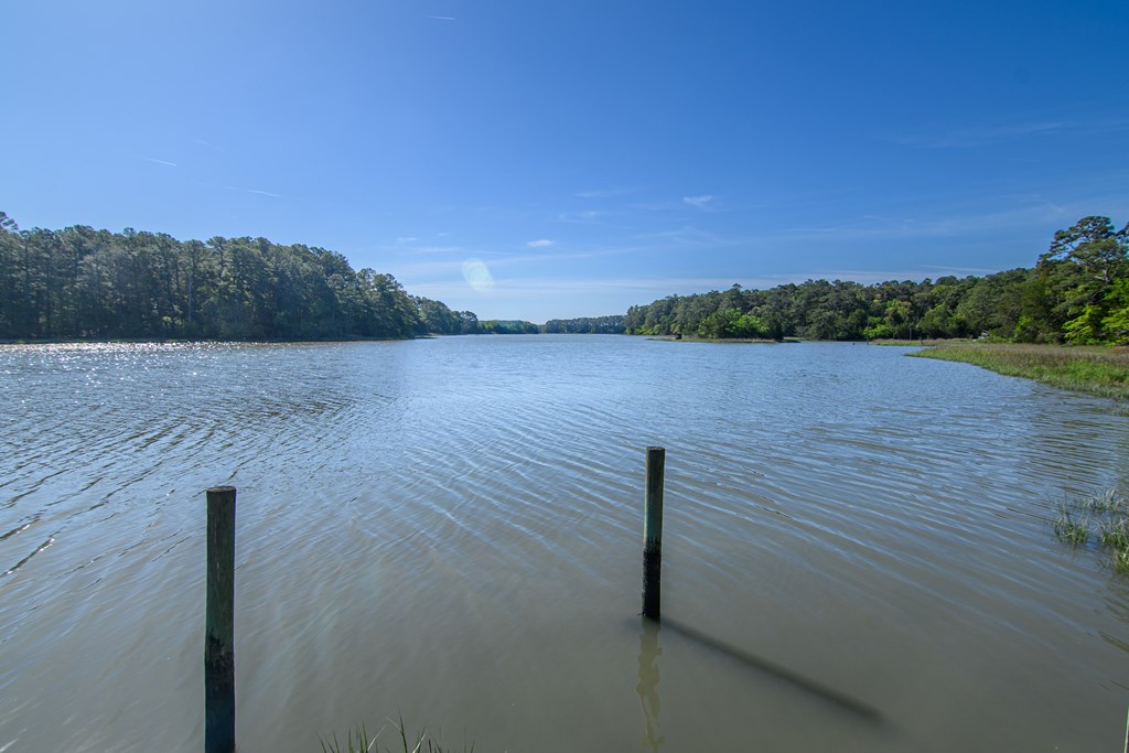 24324 Adams Hill Dr, Accomac, Virginia image 48