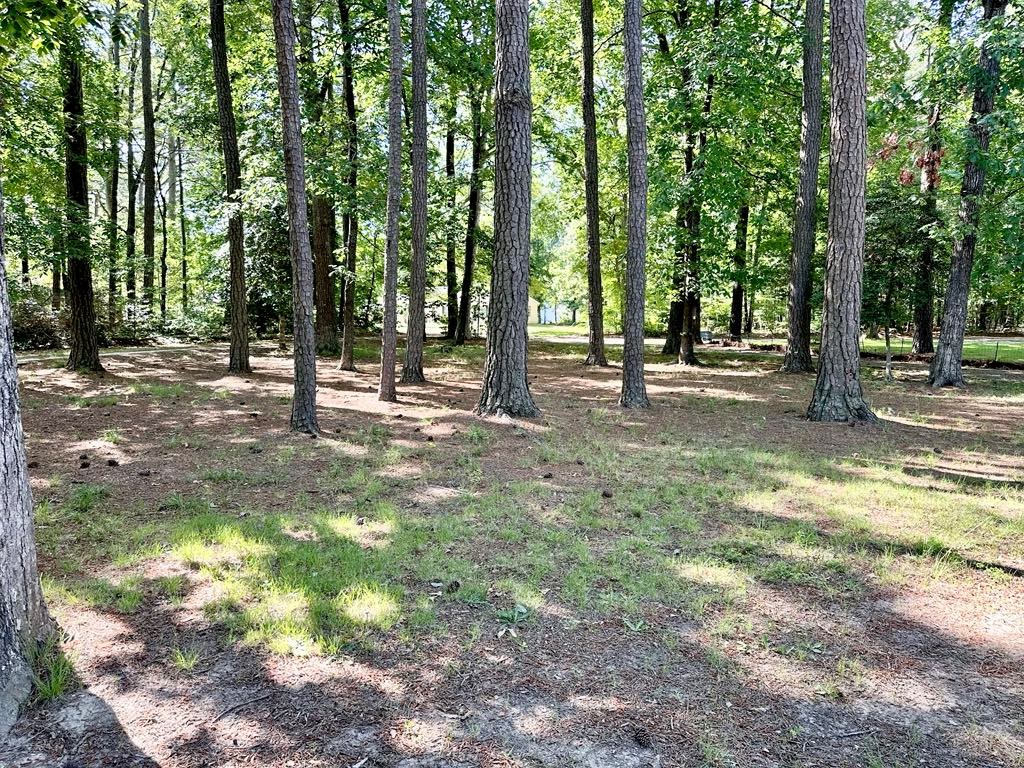 22170 Barnes Cir, Parksley, Virginia image 29