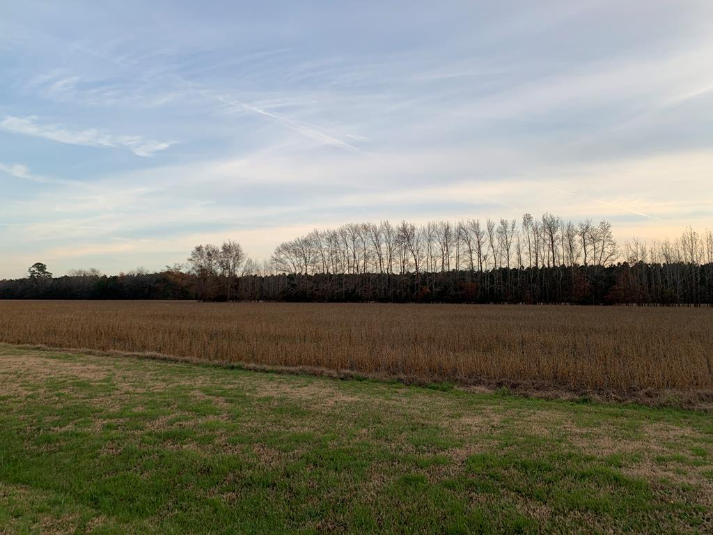 Lot 5 Waterside Dr #5, New Church, Virginia image 9