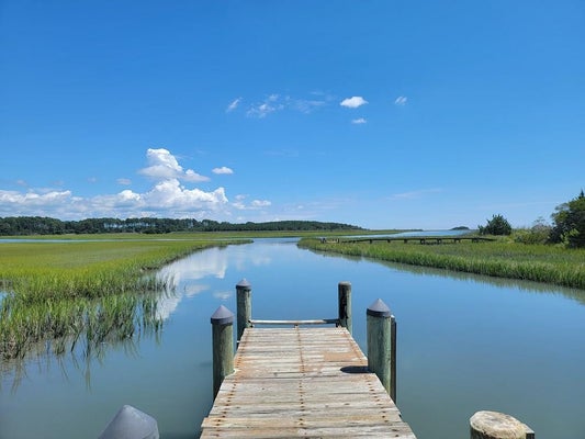 ADDRESS PRIVATE, ACCOMAC, VA 23301 - Image 6da959c7b59b8723a3a4cb4d34d1ddcd/4264667806