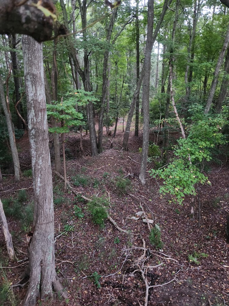Lot 17 Red Bank Rd #17, Nassawadox, Virginia image 3