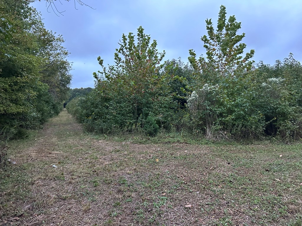 Lot 17 Red Bank Rd #17, Nassawadox, Virginia image 2