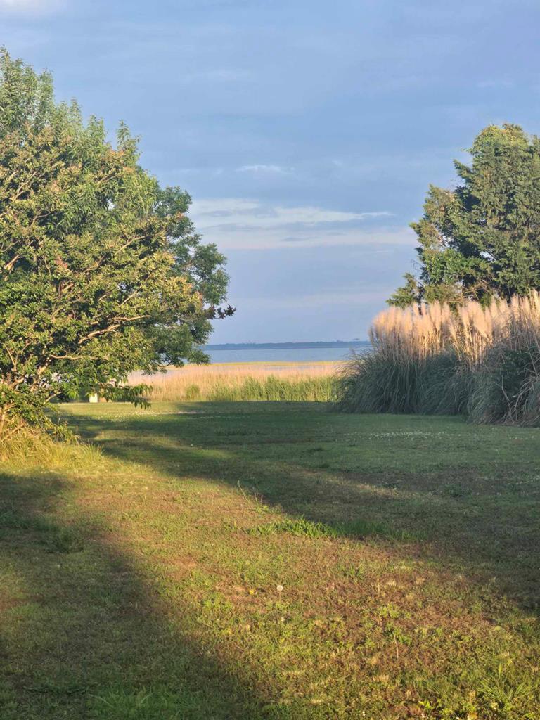 33017 Bradfords Neck Rd, Wachapreague, Virginia image 2