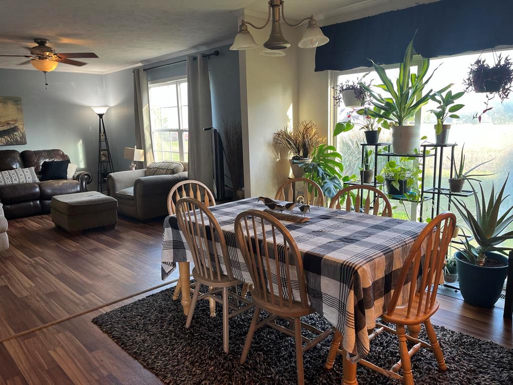 33017 Bradfords Neck Rd, Wachapreague, Virginia image 18