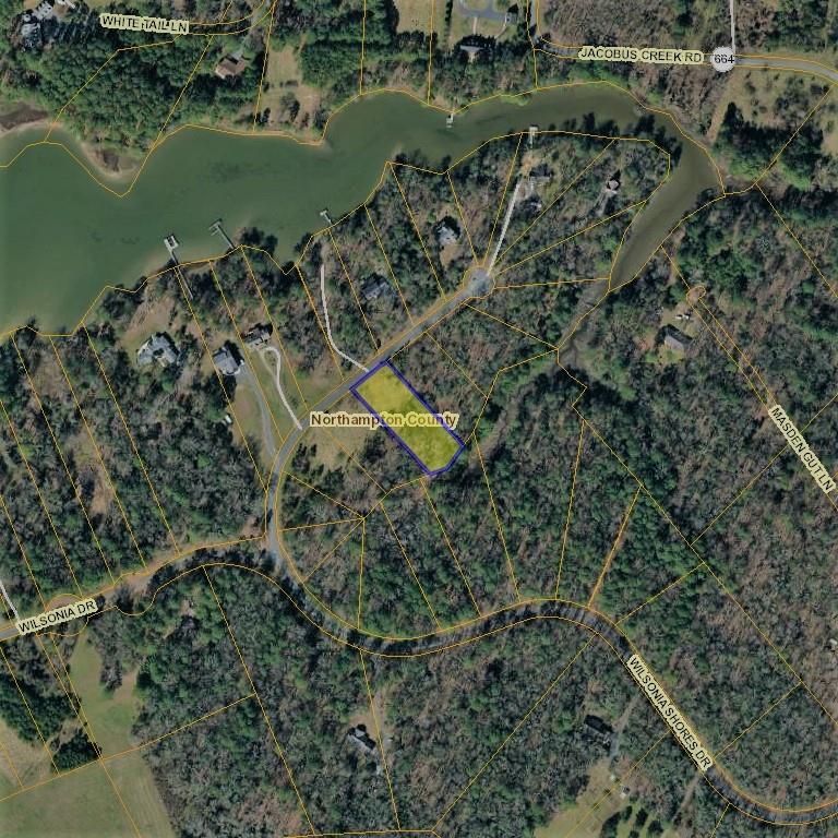 Lot # 10 Wilsonia Shores Dr #10, Machipongo, Virginia image 1