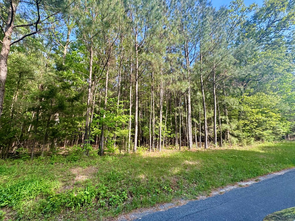 LOT C Seaside Rd #C, Painter, Virginia image 3