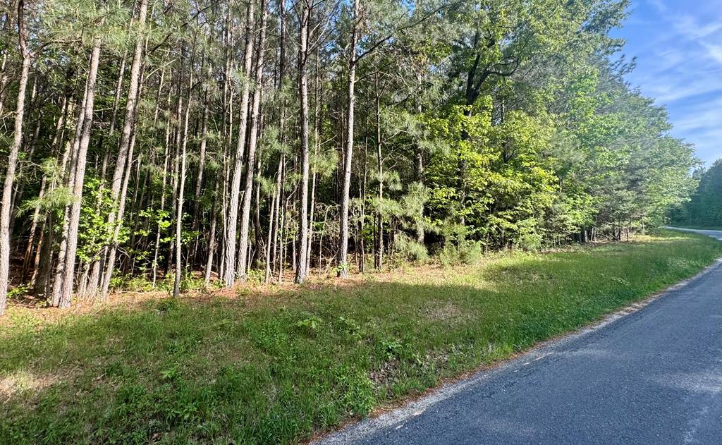 LOT C Seaside Rd #C, Painter, Virginia image 1