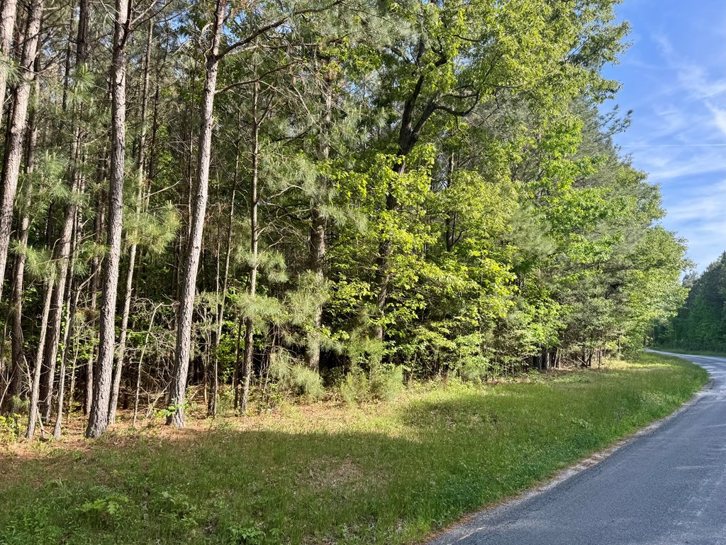 LOT C Seaside Rd #C, Painter, Virginia image 5