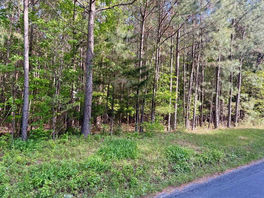 LOT C Seaside Rd #C, Painter, Virginia image 2