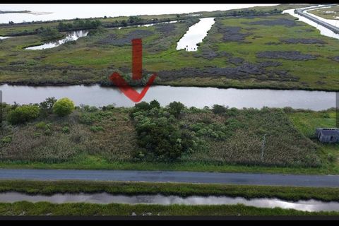 Vacant Land For Sale - LOT 114 Matthews Rd #114<br/> Saxis, VA 23427