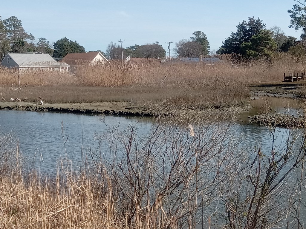 Lot #3 Doe Bay Lane #3, Chincoteague, Virginia image 3