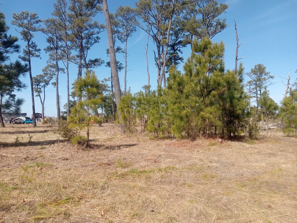 Lot #3 Doe Bay Lane #3, Chincoteague, Virginia image 2