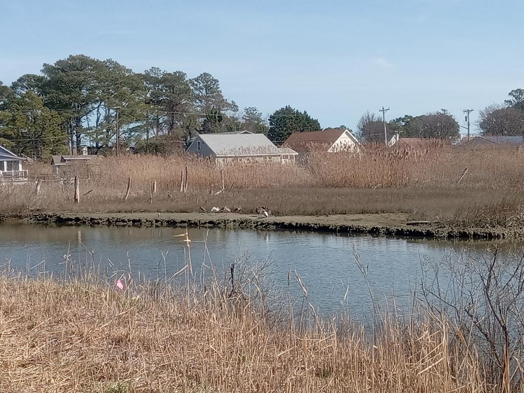 Lot #3 Doe Bay Lane #3, Chincoteague, Virginia image 1