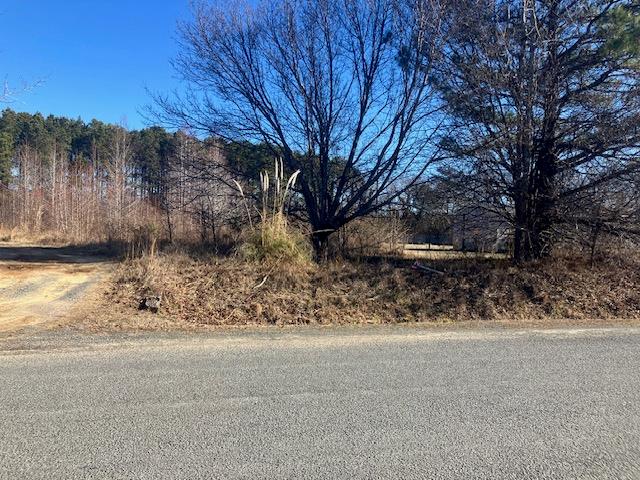 Lot 12 Pine Meadows Way #12, Exmore, Virginia image 4