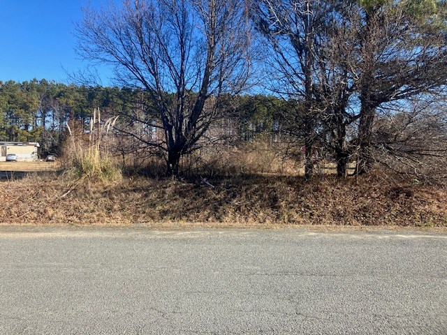 Lot 12 Pine Meadows Way #12, Exmore, Virginia image 3
