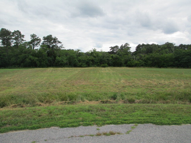 22278 Verlinda Lndg South #17, Cape Charles, Virginia image 5