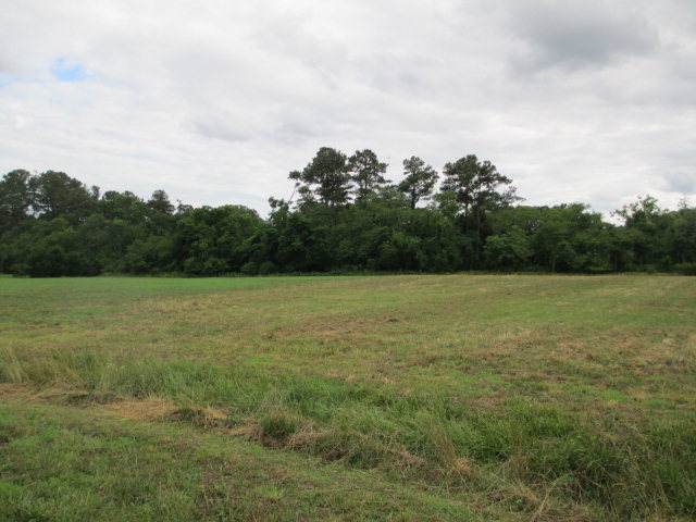 22278 Verlinda Lndg South #17, Cape Charles, Virginia image 9