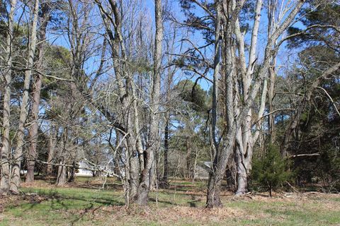 Vacant Land For Sale - 134 Neptune Dr #134<br/> Accomack County, Greenbackville, VA 23356
