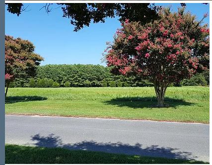 Lot 2 Clearview Rd #2, Exmore, Virginia image 10