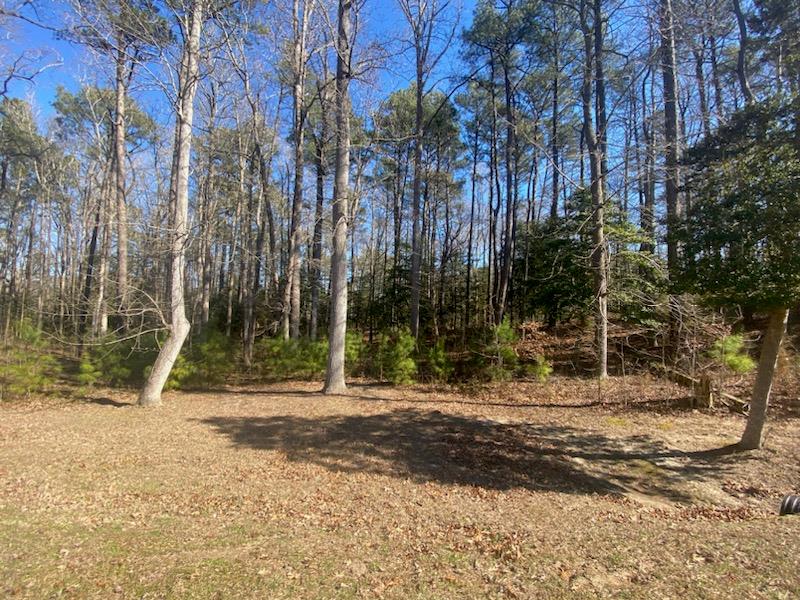 Lot 69 Scarburgh Lane #69, Horntown, Virginia image 12