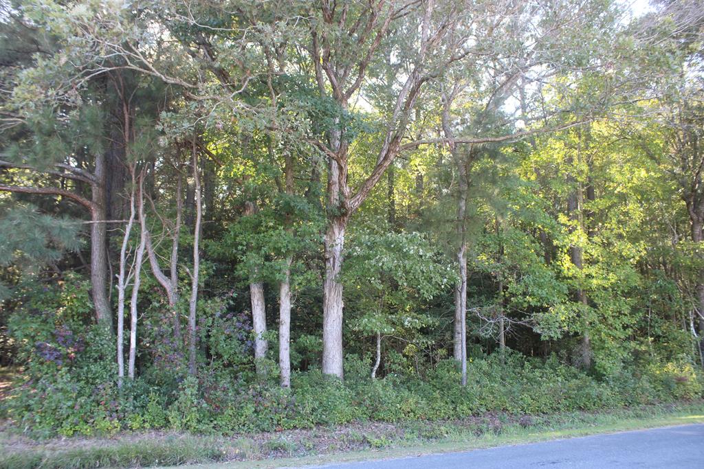 Lot 130 Matthews Rd #130, Parksley, Virginia image 12