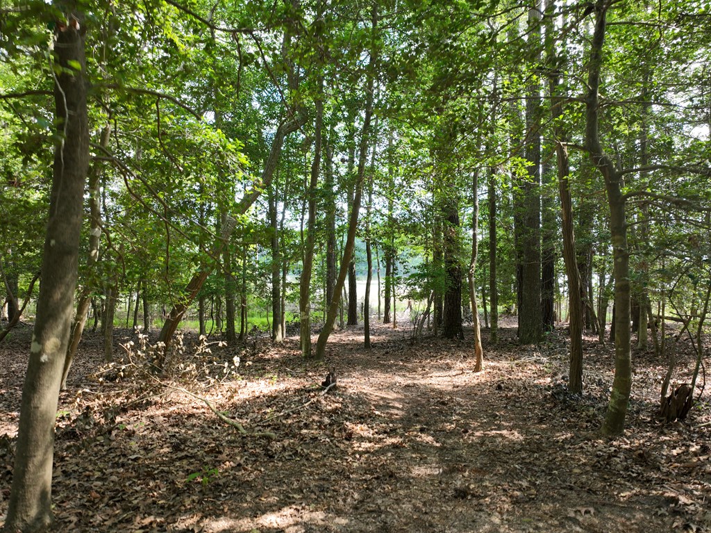 Lot 1 Mount Nebo Rd #1, Onancock, Virginia image 17