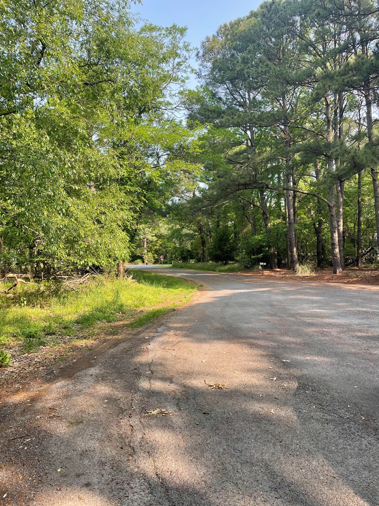 Lot 208 Blue Fish Ln #208, Machipongo, Virginia image 3