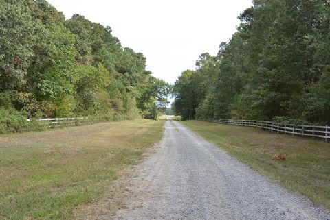 Unimproved Land in Eastville VA 2 Oyster Run Lane 12.jpg