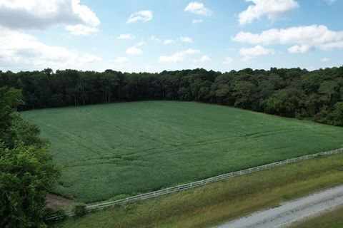 Unimproved Land in Eastville VA 2 Oyster Run Lane 16.jpg