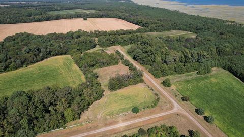 Unimproved Land in Eastville VA 2 Oyster Run Lane 4.jpg