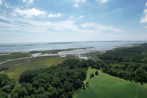 Unimproved Land in Eastville VA 2 Oyster Run Lane 13.jpg