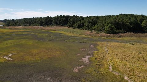 Unimproved Land in Eastville VA 2 Oyster Run Lane 23.jpg