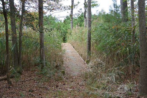 Unimproved Land in Eastville VA 2 Oyster Run Lane 17.jpg