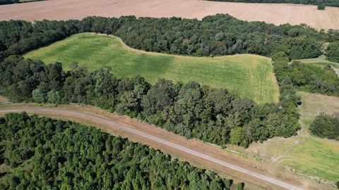 Unimproved Land in Eastville VA 2 Oyster Run Lane 8.jpg