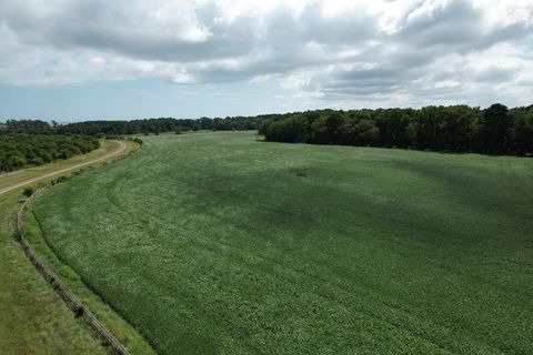 Unimproved Land in Eastville VA 2 Oyster Run Lane 21.jpg