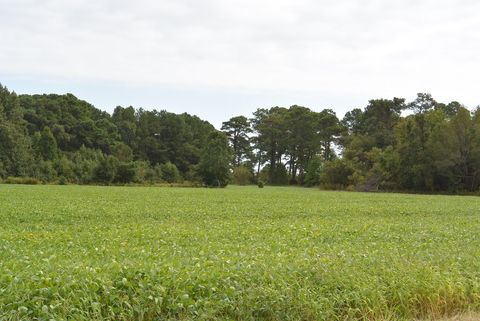 Unimproved Land in Eastville VA 2 Oyster Run Lane 19.jpg