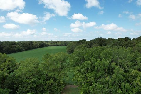 Unimproved Land in Eastville VA 2 Oyster Run Lane 14.jpg