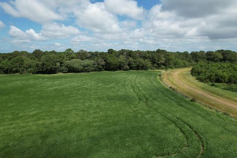 Unimproved Land in Eastville VA 2 Oyster Run Lane 20.jpg