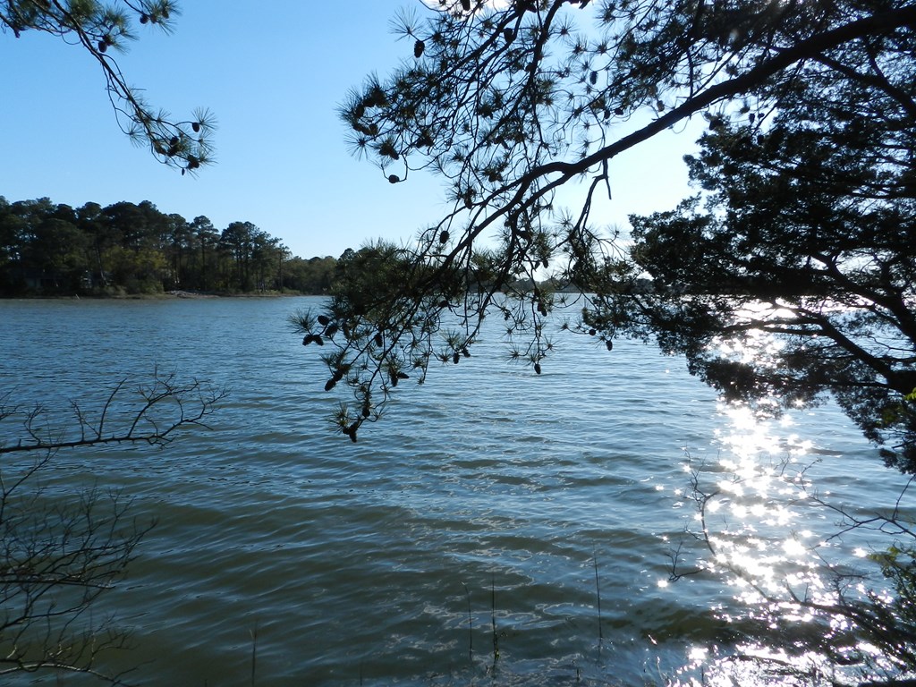 Lot 6 Barlow Creek Ln #6, Eastville, Virginia image 7