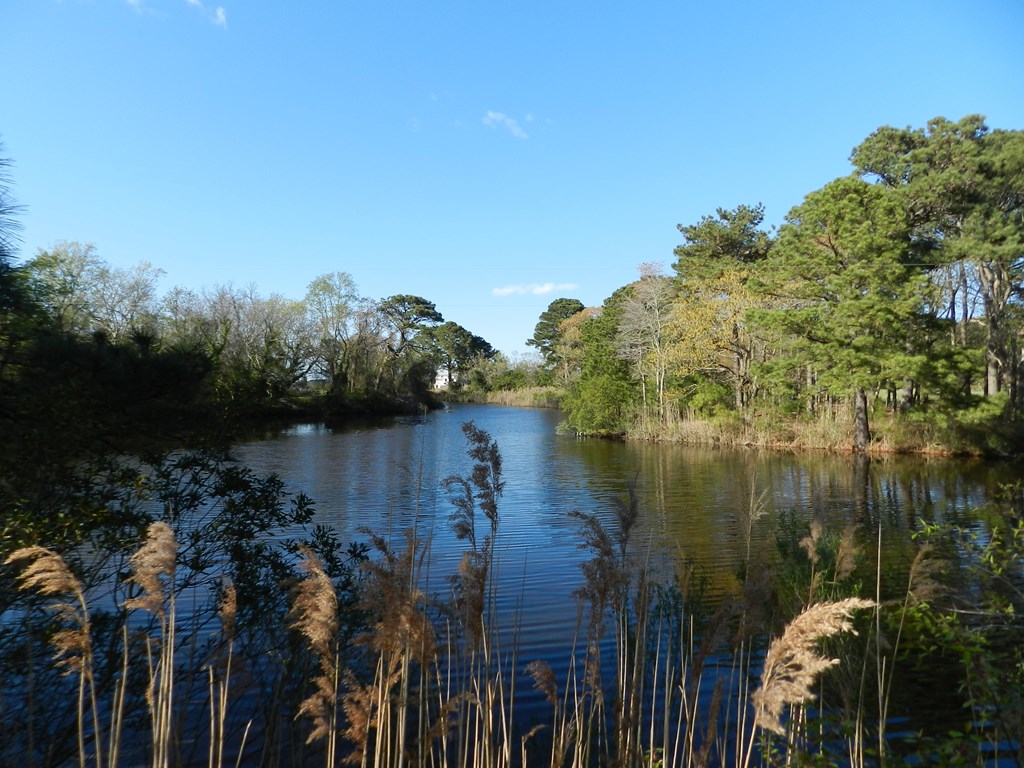Lot 6 Barlow Creek Ln #6, Eastville, Virginia image 14