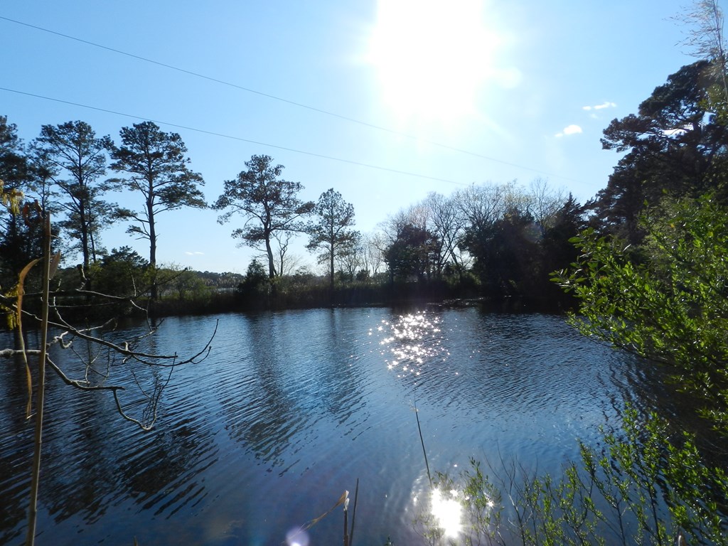 Lot 6 Barlow Creek Ln #6, Eastville, Virginia image 10