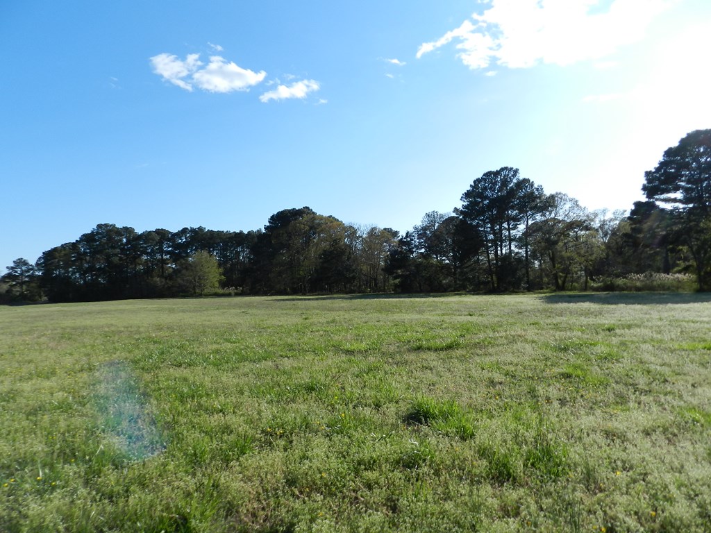 Lot 6 Barlow Creek Ln #6, Eastville, Virginia image 17