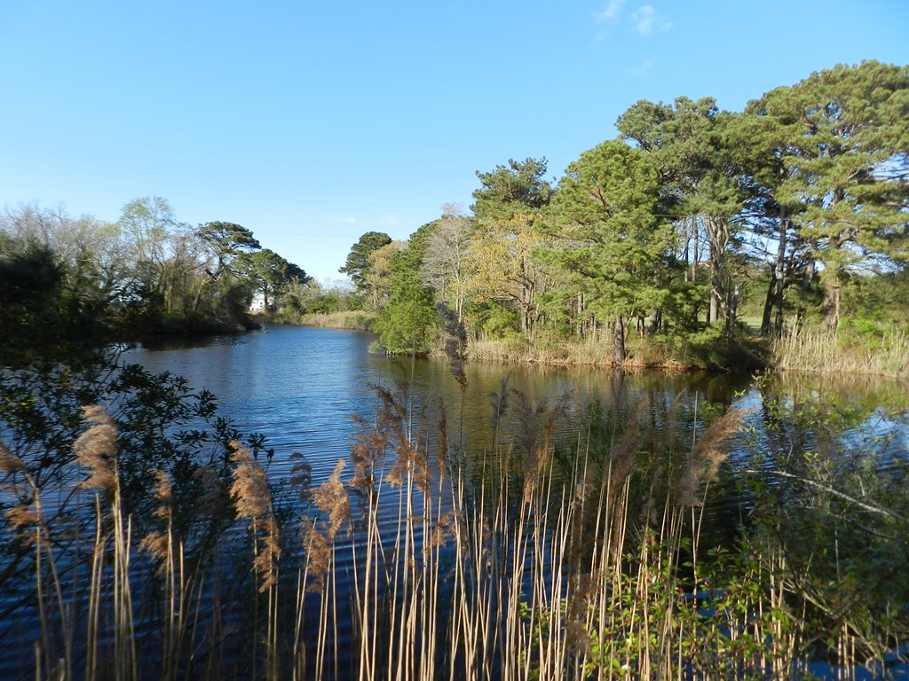 Lot 6 Barlow Creek Ln #6, Eastville, Virginia image 15